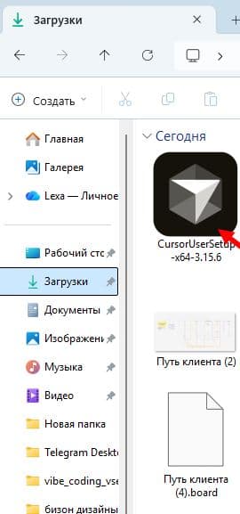 Файл CursorUserSetup в папке «Загрузки»